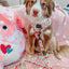 Dog Adjustable Harness - P.S. I Woof You