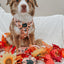 Dog Adjustable Harness - Squad Ghouls