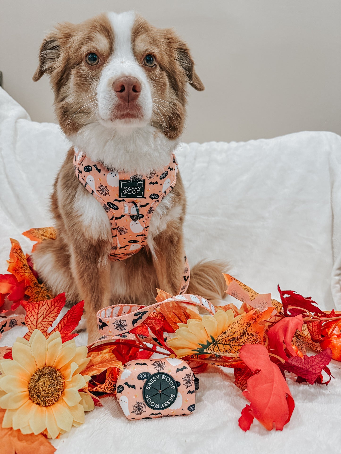 Dog Adjustable Harness - Squad Ghouls