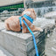 Dog Leash - Might as Whale