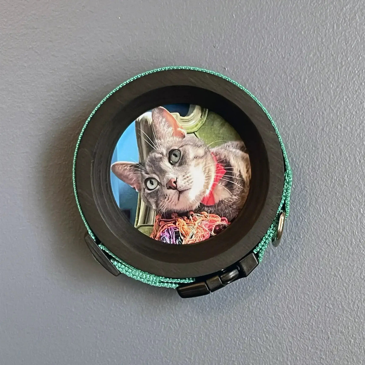 Cat Collar Frame |"The Garfield"