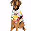 Bloom Dog Sweater