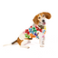 Bloom Dog Sweater