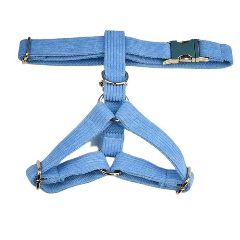 Blue Corduroy Set