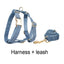 Blue Denim Set