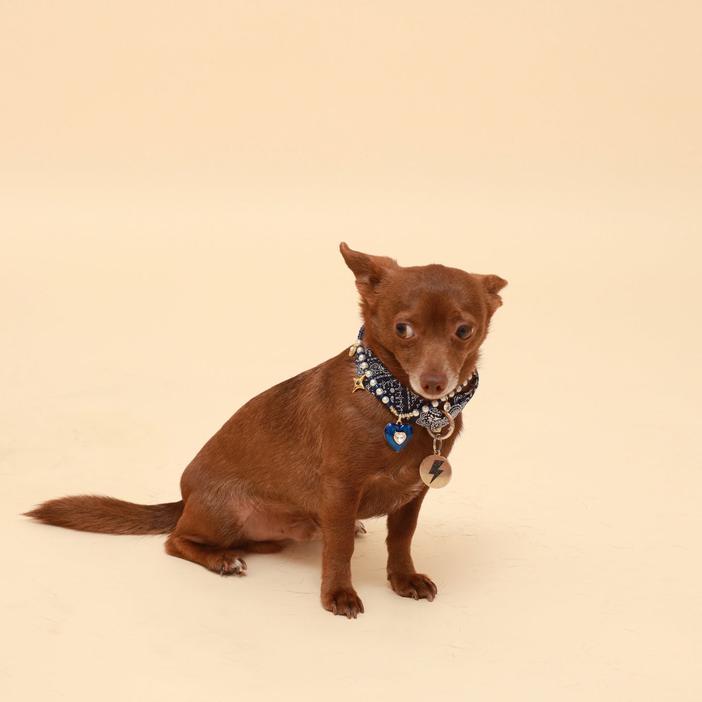 Blue Paisley Neckerchief