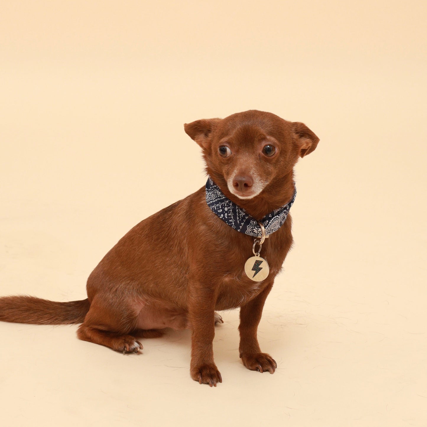 Blue Paisley Neckerchief