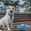 Dog Waterproof Leash - Blue