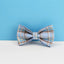 Dog Collar Leash Harness Set, Blue Plaid