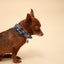Blue Paisley Neckerchief