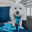 Dog Step-in Harness - Tropical Tides