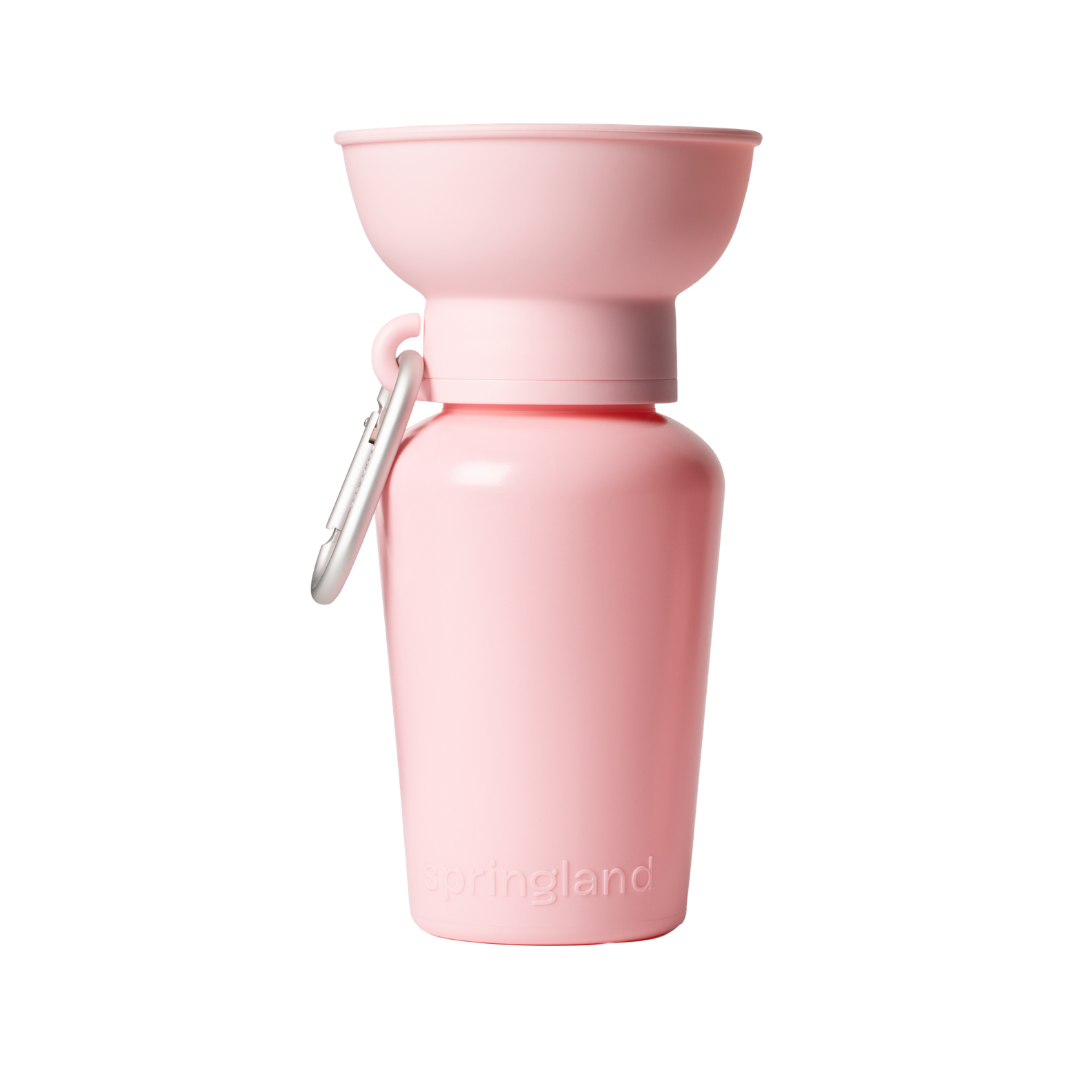 20oz Flip Travel Dog Water Bottle