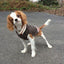Boyfriend Dog Sweater