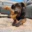 Coconut Rope & Original Chew
