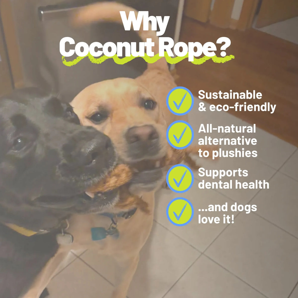 Coconut Rope & Original Chew