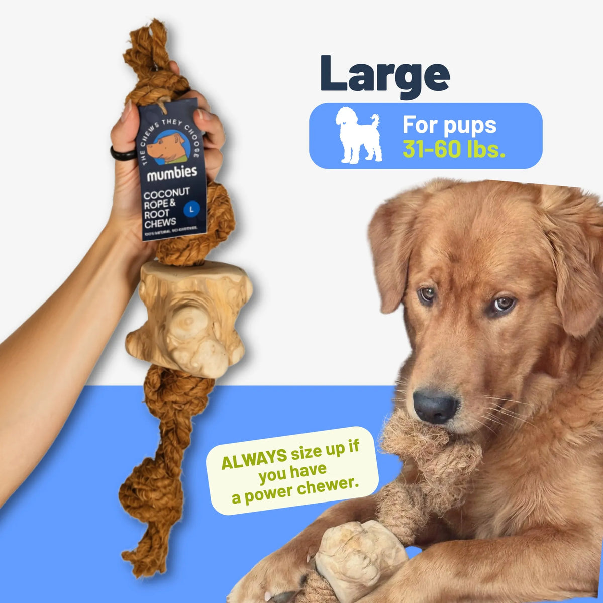 Coconut Rope & Root Chew