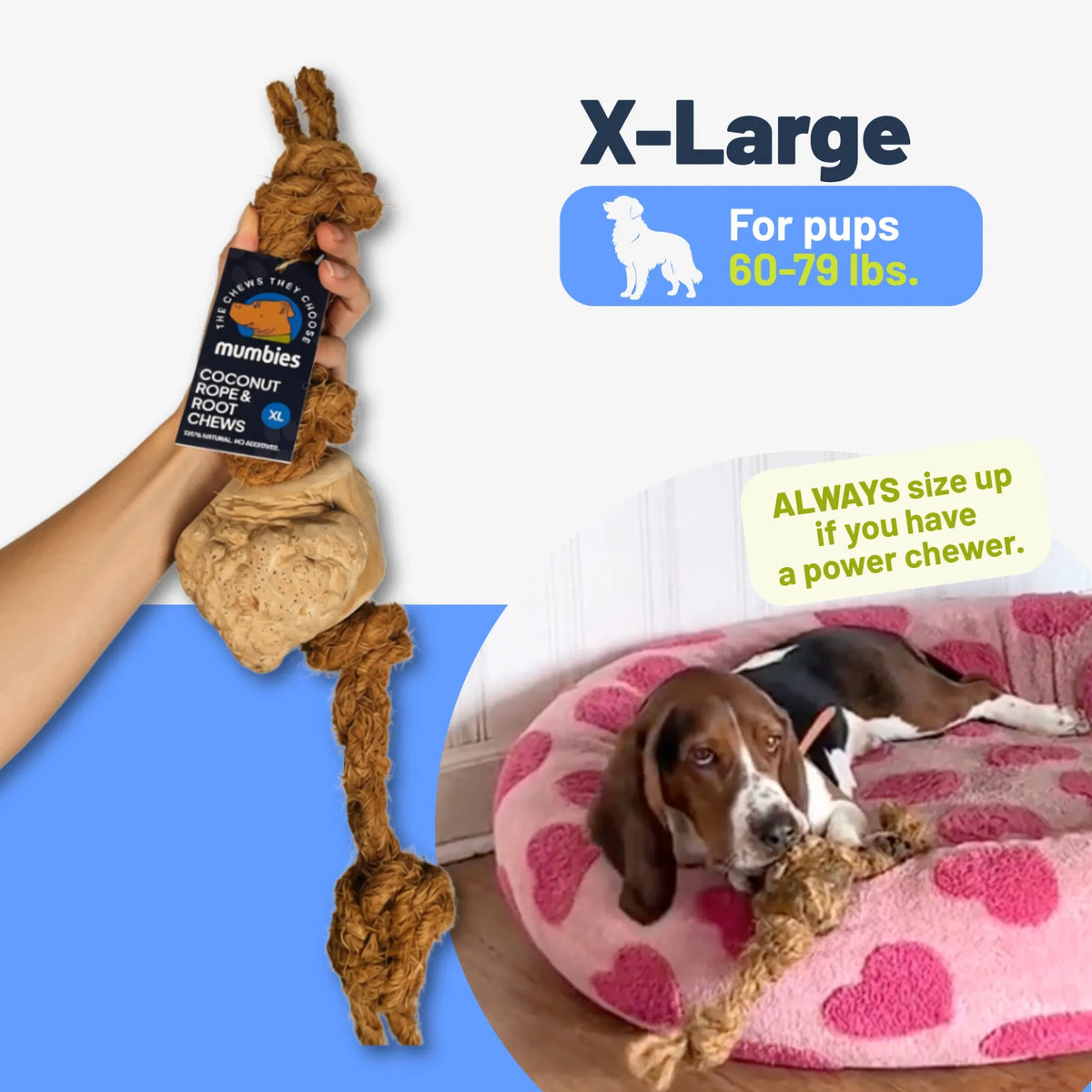 Coconut Rope & Root Chew