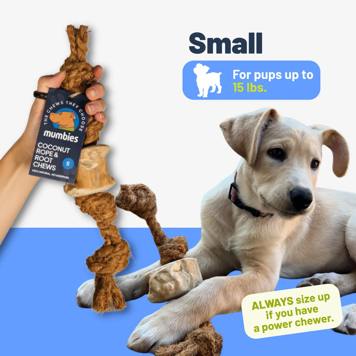 Coconut Rope & Root Chew
