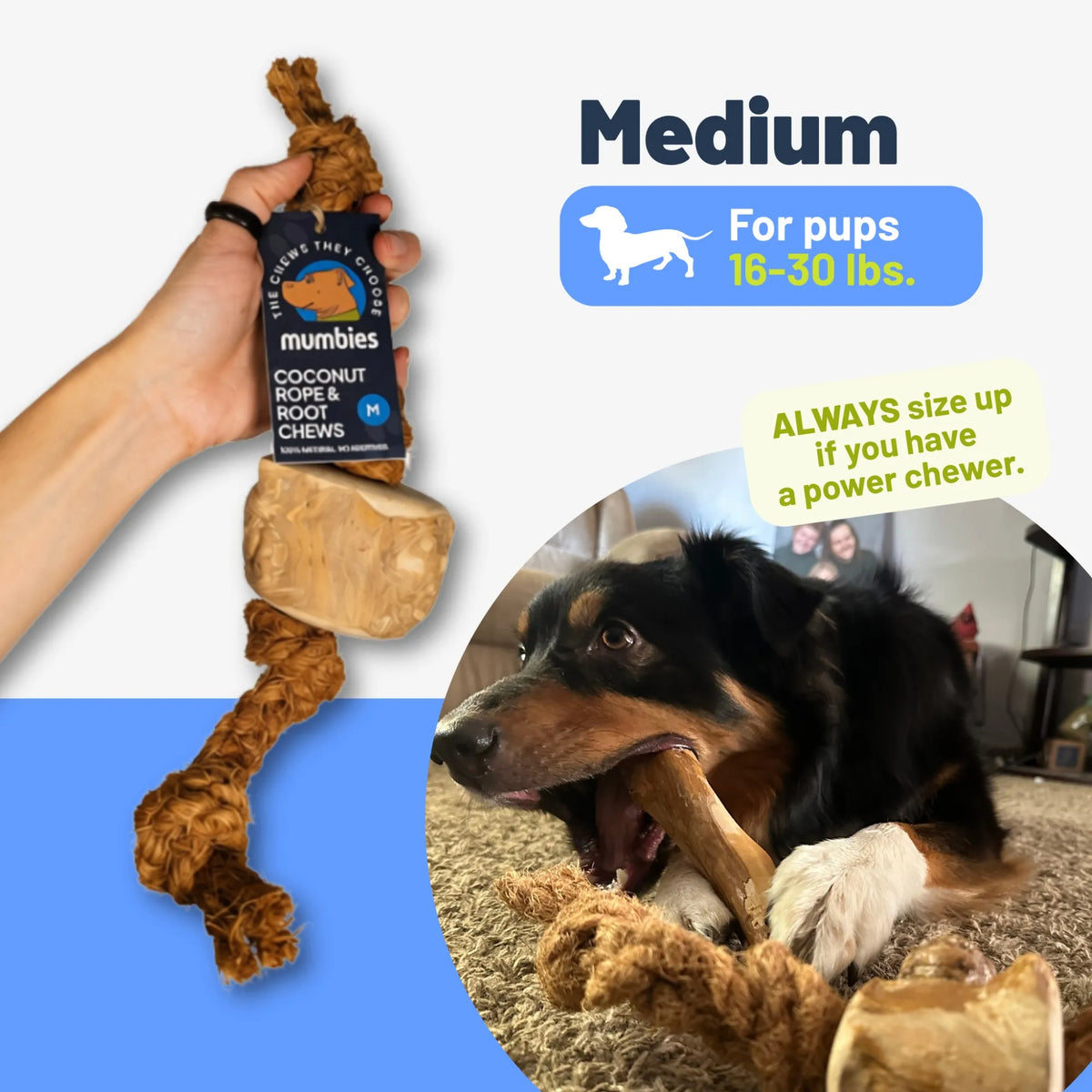 Coconut Rope & Root Chew