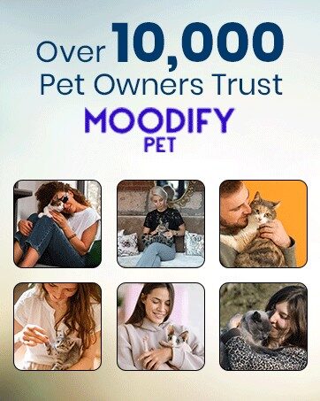 MoodifyPet Cat Litter Box Odor Neutralizer — 12 Pack (Max Coverage)