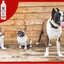Magic White Brightening Dog Shampoo - Cherry Scented - 17oz
