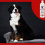 Magic White Brightening Dog Shampoo - Cherry Scented - 17oz