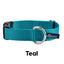 5/8″ and 1″ Teal Nylon Dog Collar
