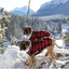 Buffalo Plaid Dog Sweater