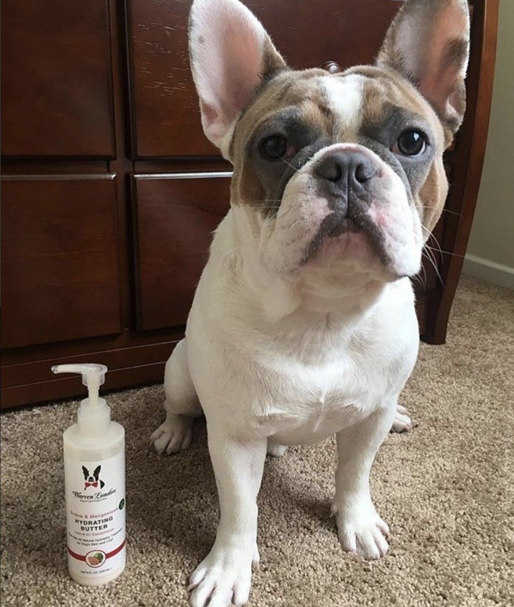 Hydrating Butter - For Dog's Skin & Coat - Leave-In Moisturizer