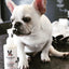 Hydrating Butter - For Dog's Skin & Coat - Leave-In Moisturizer