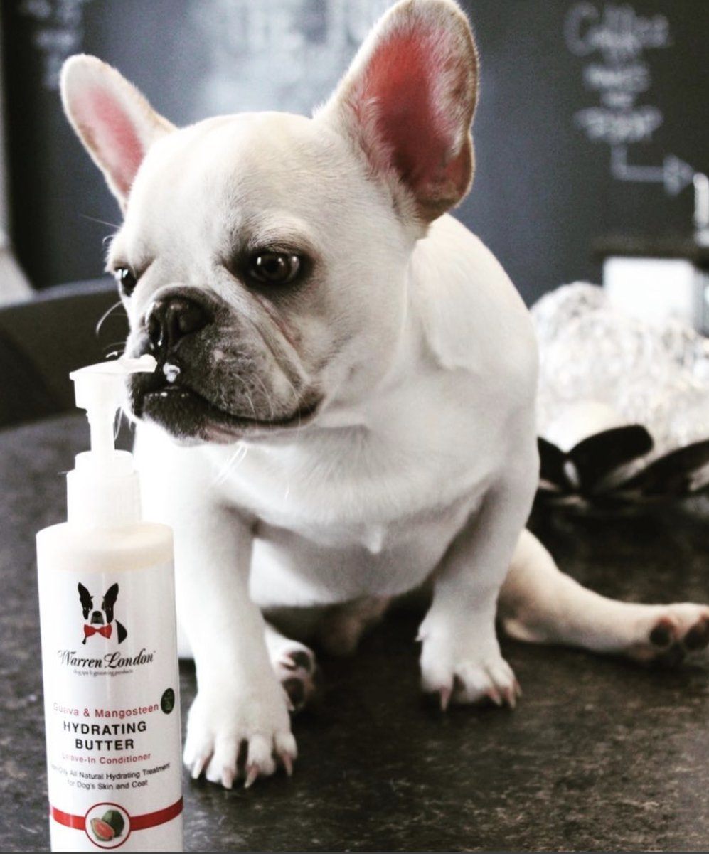 Hydrating Butter - For Dog's Skin & Coat - Leave-In Moisturizer