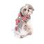 Candy Cane Dog Sweater