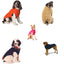 Toy Breed Dog Sweaters - XXS