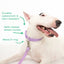 Original Waterproof Dog Collar