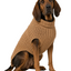 Camel Alpaca Cable Knit Dog Sweater