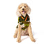 Camo Dog Sweater