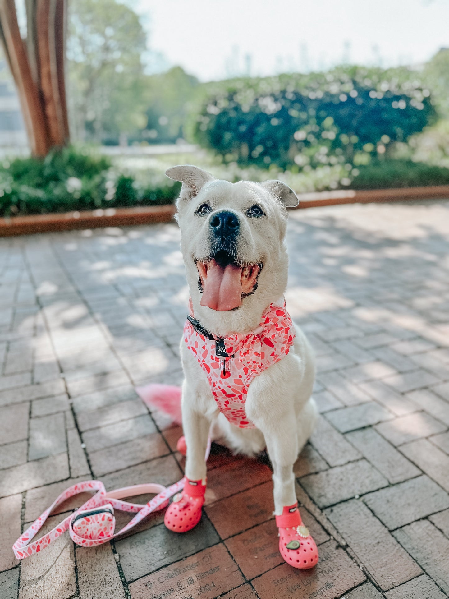 Dog Adjustable Harness - Mykonos