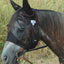 Cashel Quiet Ride Fly Mask with Ears for Horses, Lightweight Riding Protection