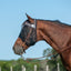 Cashel Quiet Ride Horse Fly Mask for Insect Control & Protection