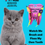 Oral Care Floss & Treat Toothbrush Toy for Cats (2-Pack)