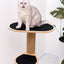 Cat Climbing Tower