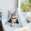 'Oasis' Cardboard Cat Pyramid