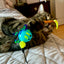 Oral Care Floss & Treat Toothbrush Toy for Cats