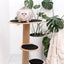 Cat Climbing Tower