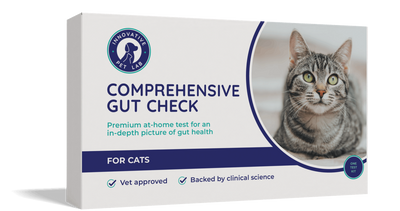 Comprehensive Gut Check for Cats
