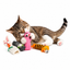 1 Pack Wooly Mice Organic Catnip Cat Toy