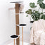 Cat Climbing Tower