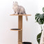 Small Cat Tower