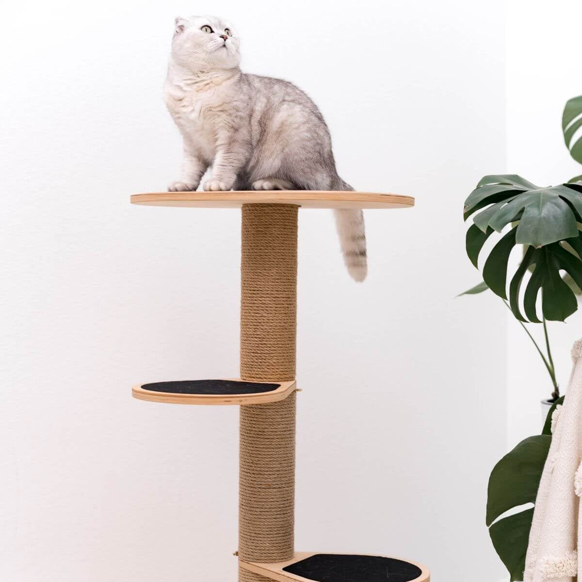 Small Cat Tower