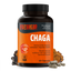 Chaga Mushroom Extract Capsules